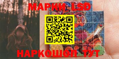 гидра Славгород