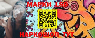 гашик Сланцы