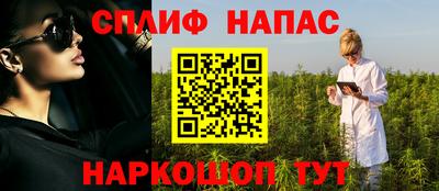 стаф Ставрополь