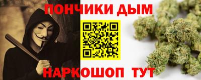 гашик Сланцы