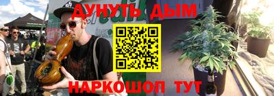 гидра Славгород