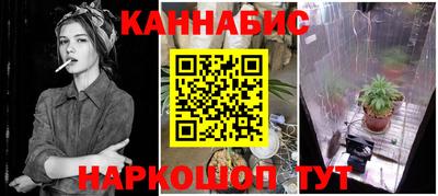 гидра Славгород