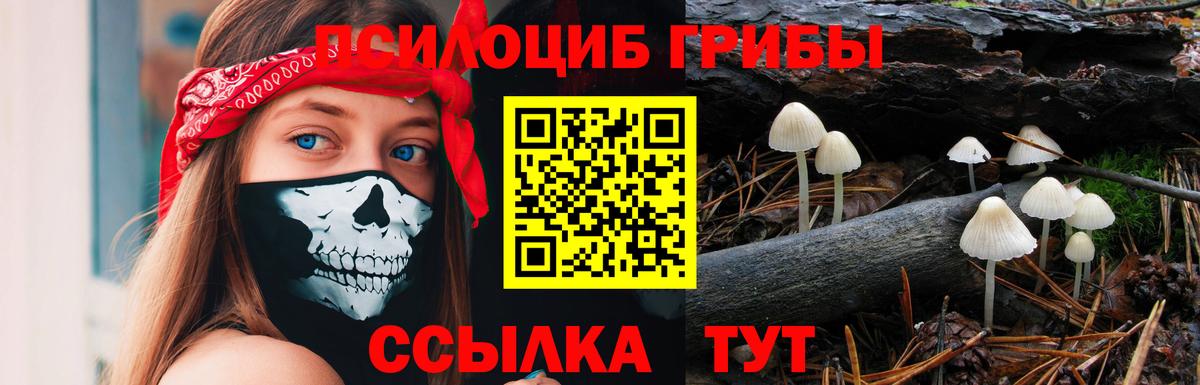 Ногинск  Псилоцибиновые грибы MAGIC MUSHROOMS  Вход с VPN 